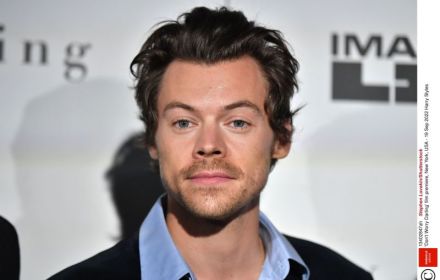 Pop star Harry Styles