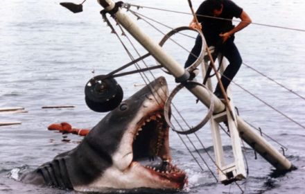 Jaws