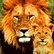 Avatar van thelion