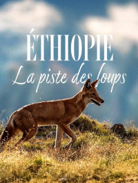 Movie cover