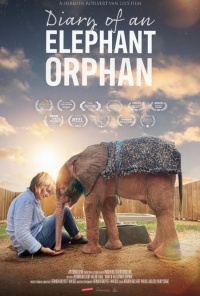 Movie cover