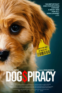 Movie cover