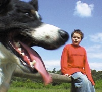 Movie cover