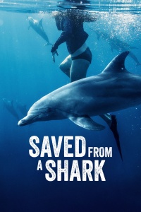 Movie cover