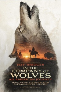 Movie cover