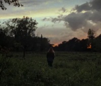 Movie cover