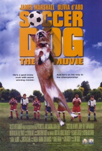 Film Cover