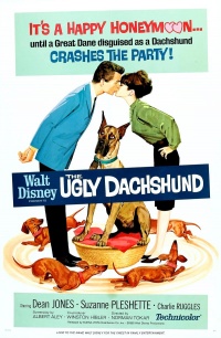Film Cover