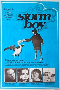 Film cover
