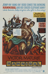 Film cover