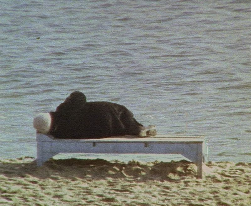 Bela Bela - Ik Heb het Leven Nodig