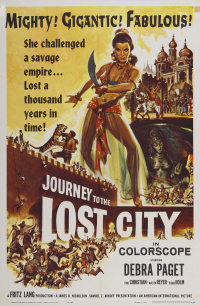 Film cover