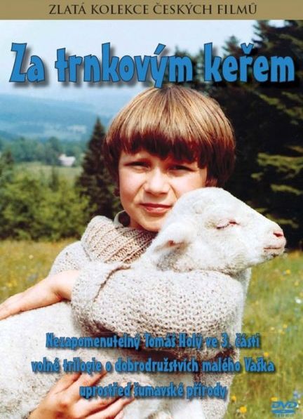 Film Cover
